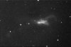 NGC 520 au foyer du C8